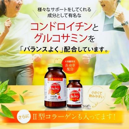 (コストコ) コンドロイチン＆グルコサミン100日分