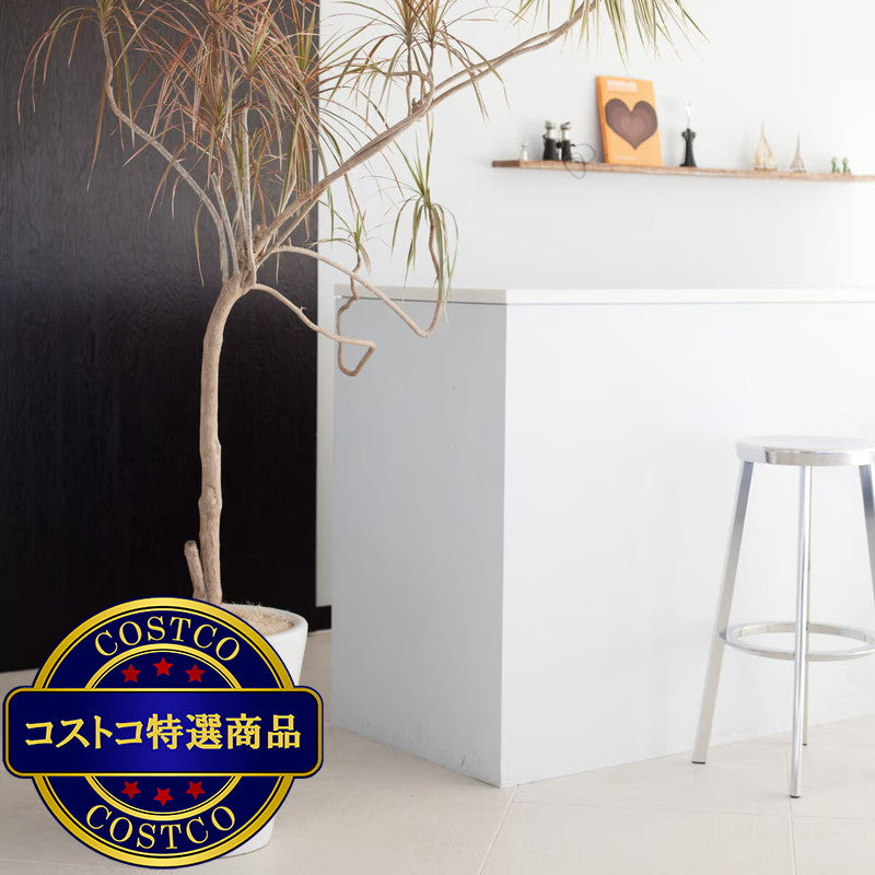 (コストコ) ヤマテー モダン PR1 マット釉 プランター 受け皿付き M 11号 32 x 39.5cm ホワイト ZZ-C13W11P