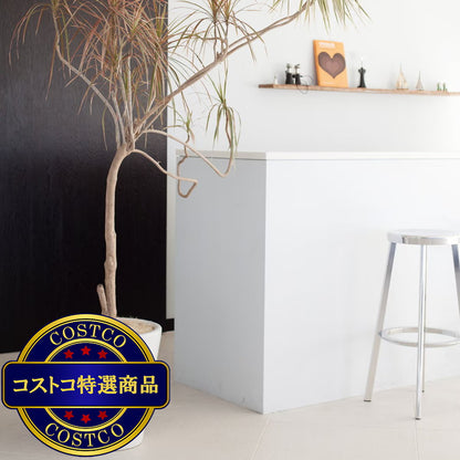(コストコ) モダン PR1 マット釉 プランター 受け皿付き 2個セット XS 7号 21 x 35cm ホワイト ZZ-C13W07Px2