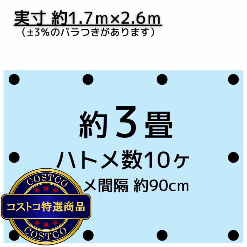 (コストコ) アイネット #3000ブルーシート 1.8 x 2.7m  15セット