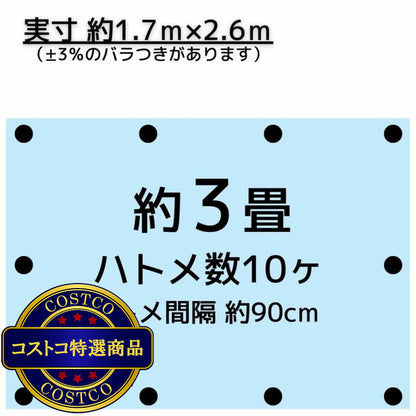 (コストコ) アイネット #3000ブルーシート 1.8 x 2.7m  15セット