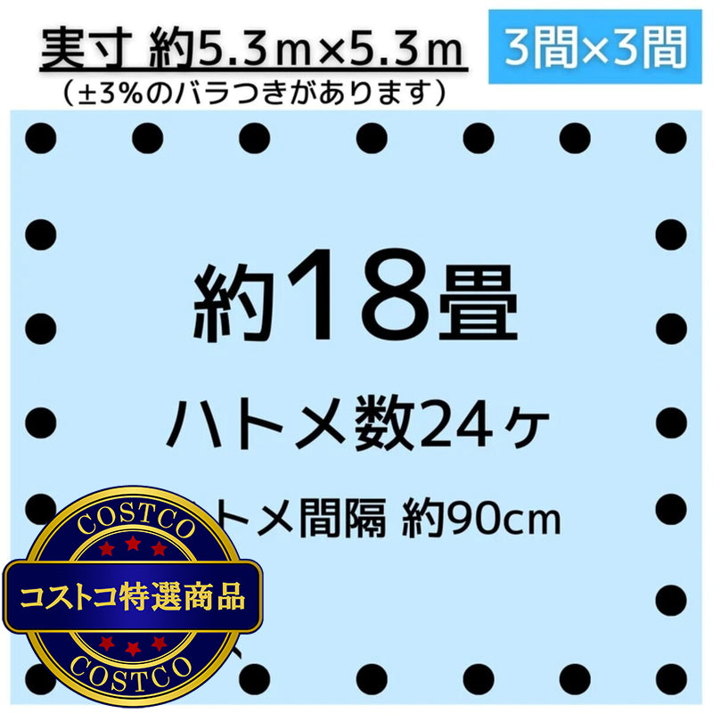 (コストコ) アイネット #3000ブルーシート 5.4 x 5.4m