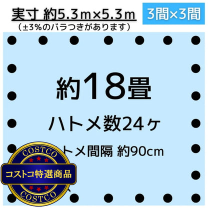 (コストコ) アイネット #3000ブルーシート 5.4 x 5.4m