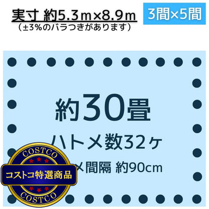 (コストコ) アイネット #3000ブルーシート 5.4 x 9.0m