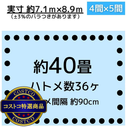 (コストコ) アイネット #3000ブルーシート 7.2 x 9.0m