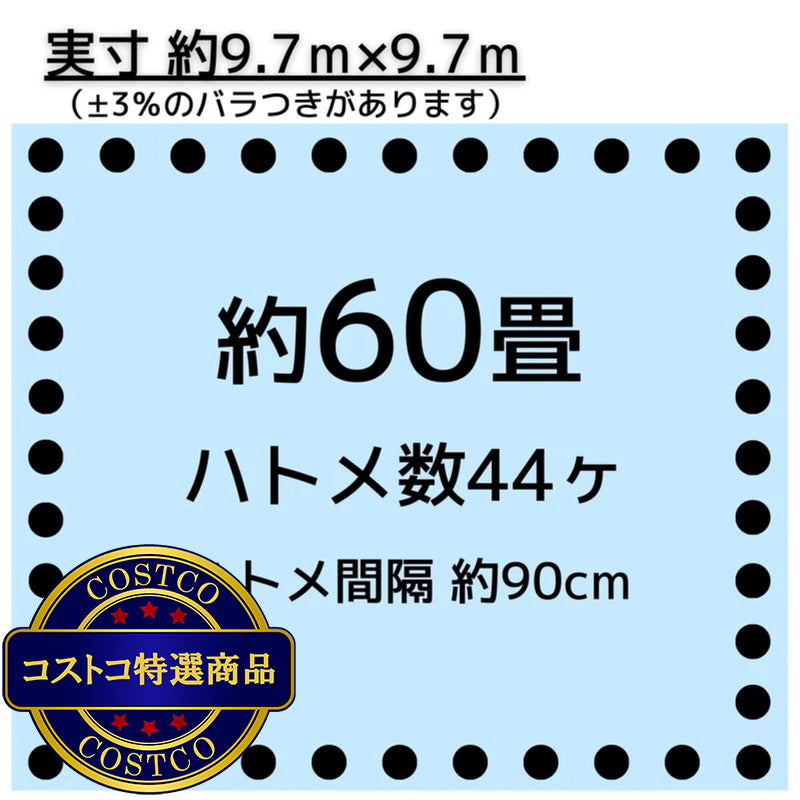 (コストコ) アイネット #3000ブルーシート 10 x 10m