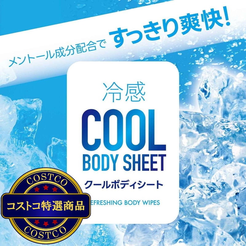(コストコ) クールボディシート 20シート x 48パック