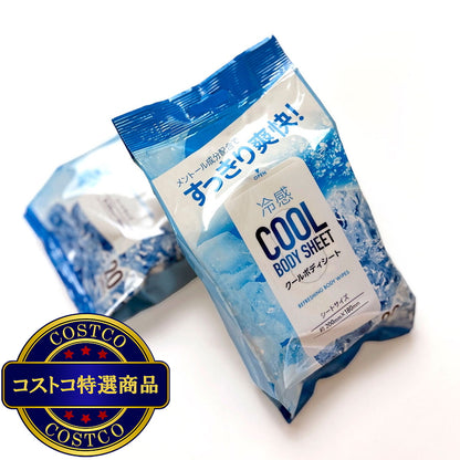 (コストコ) クールボディシート 20シート x 48パック