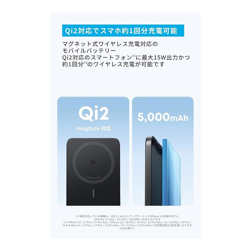(コストコ) Anker（アンカー）Nano Power Bank 2パックB1665N11