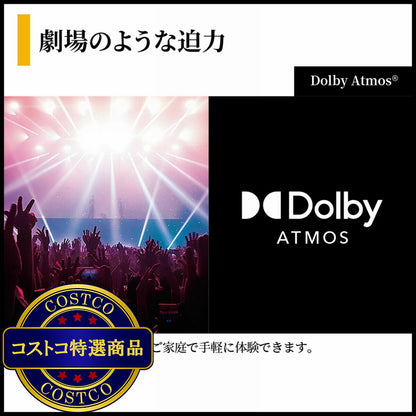(コストコ) シャープ アクオス 85インチ 4K MiniLEDテレビ 4T-C85HV1