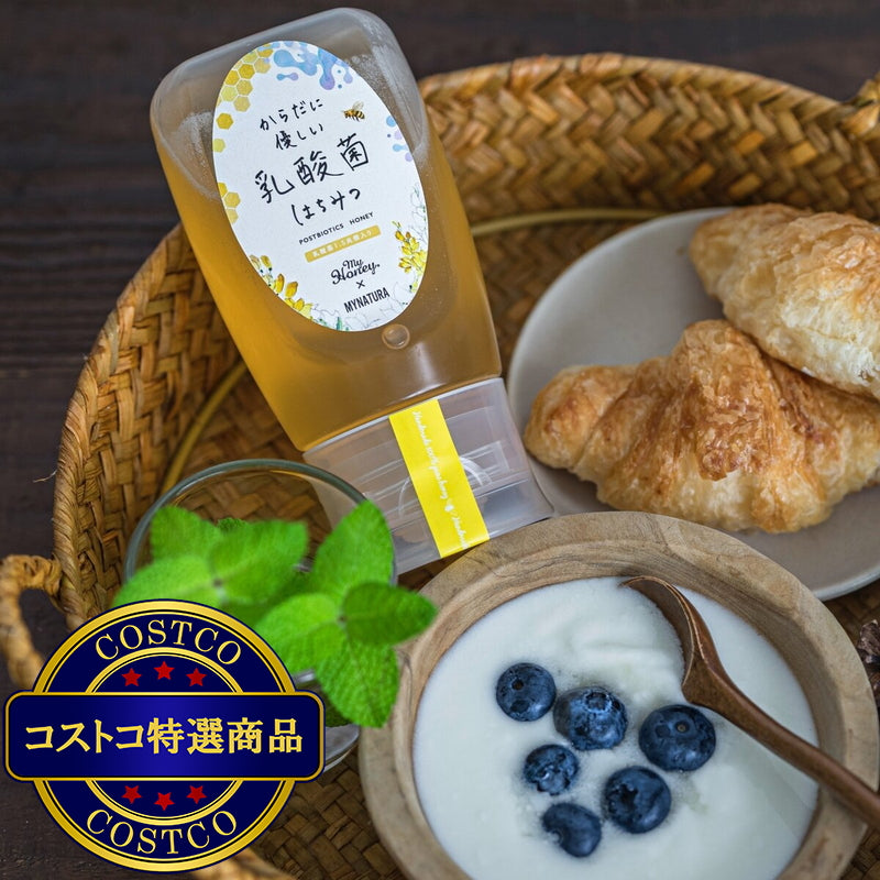 (コストコ) からだに優しい乳酸菌はちみつ 300g