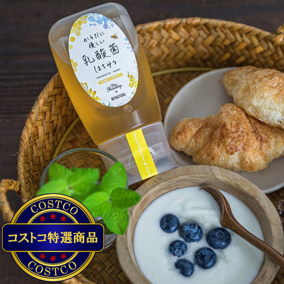 (コストコ) からだに優しい乳酸菌はちみつ 300g
