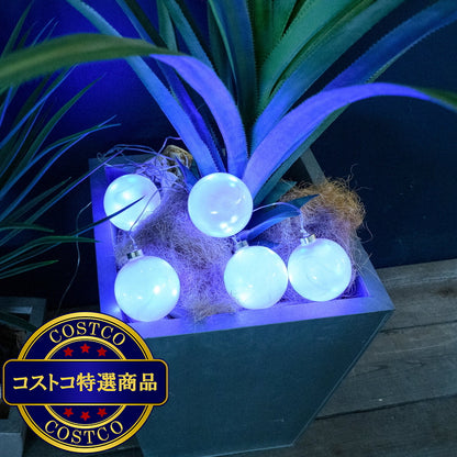 (コストコ) スワン電機アメージングボールライト