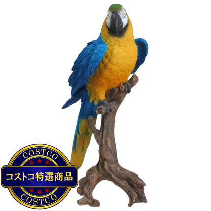 (コストコ) ウービア 切り株にとまるコンゴウインコの置物 ブルー 特大 H14142-1