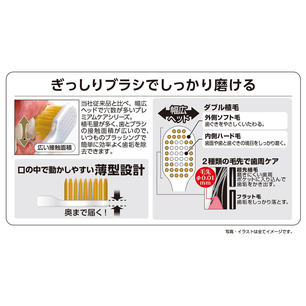 (コストコ) エビス プレミアムケアブラシ シリーズ 6列 レギュラー ふつう