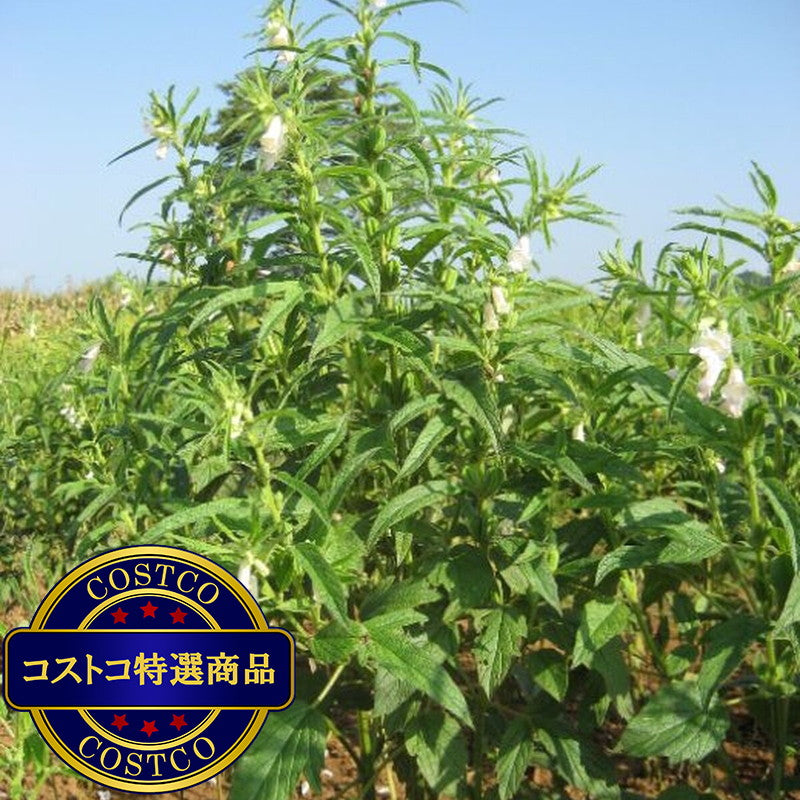 (コストコ) 黒セサミン 20mg 90粒