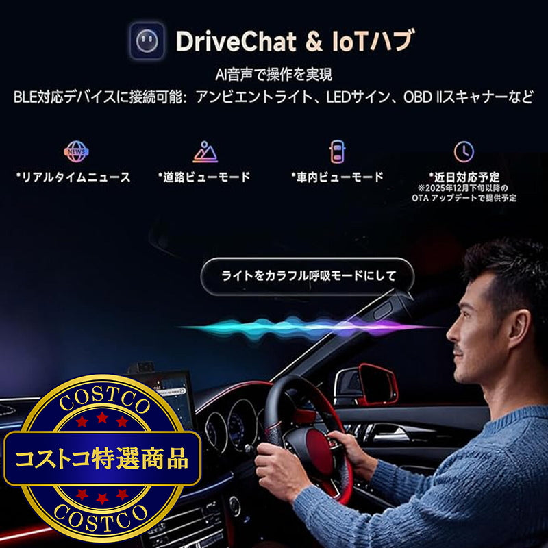 (コストコ) ATOTO P10 9インチ コントローラーセット