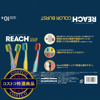 (コストコ) REACH カラーバースト 歯ブラシ 10 本