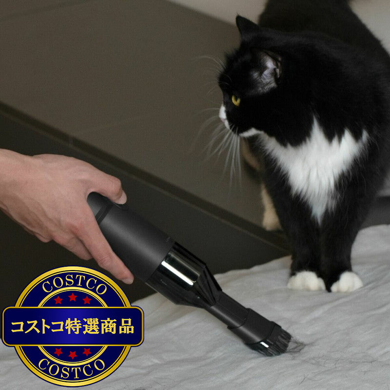 (コストコ) HOTO 4WAY 小型エアクリーナー HOE0001GL