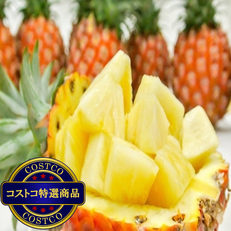 (コストコ) パイン＆マンゴーセット 1.4kg