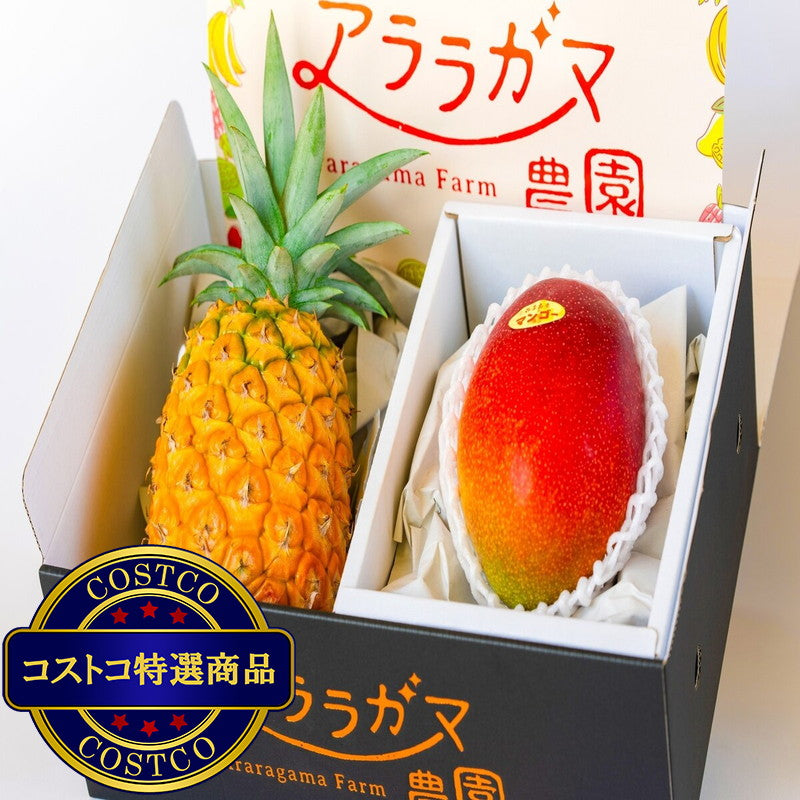 (コストコ) パイン＆マンゴーセット 1.4kg
