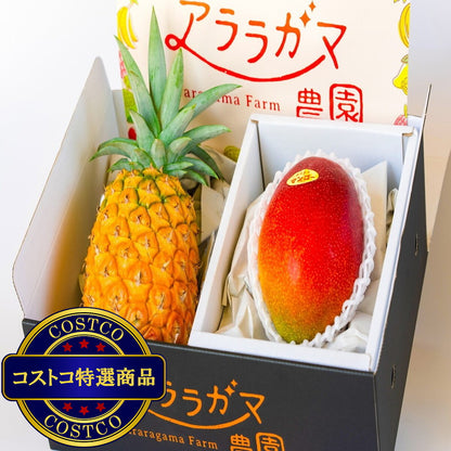 (コストコ) パイン＆マンゴーセット 1.4kg