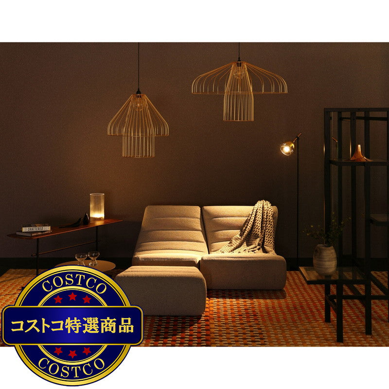 (コストコ) リーン・ロゼ ロゼサパレッラ 1P A + パフセット