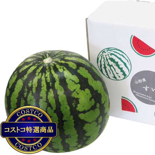 (コストコ) 【7月下旬から順次発送予定】山形県産 大玉すいか 3L