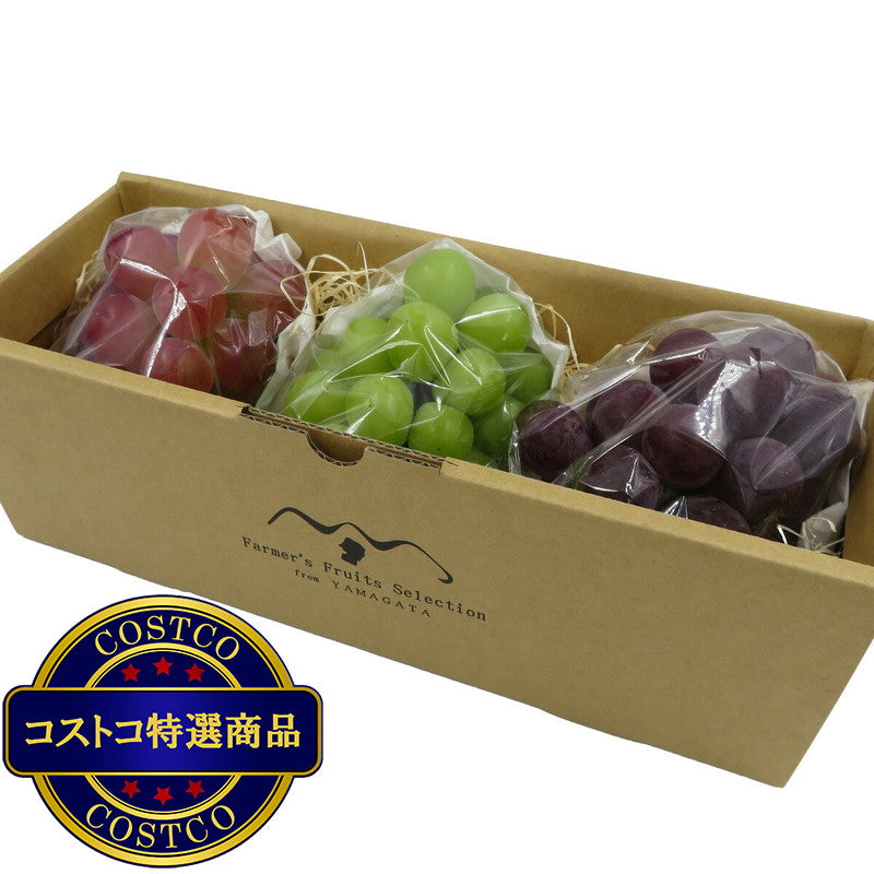 (コストコ) 【9月上旬から順次発送予定】山形県産 ぶどう3種