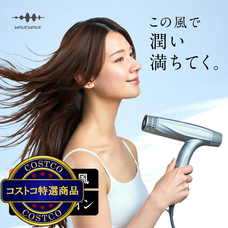 (コストコ) WAVE WAVE デュアル ケア ドライヤー グレー