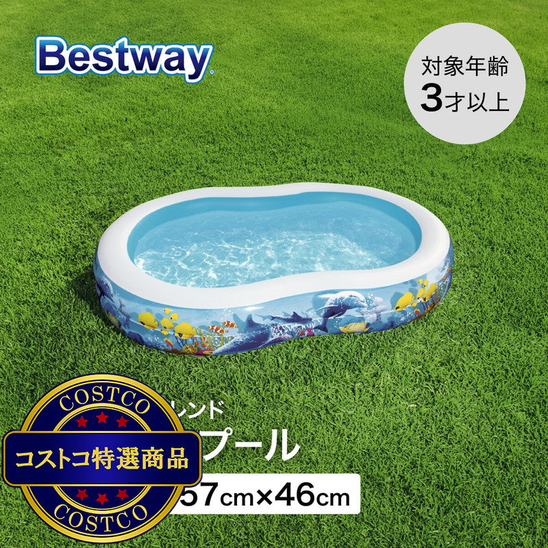 (コストコ) BESTWAY 54118 フィッシュ＆フレンド ファミリー プール