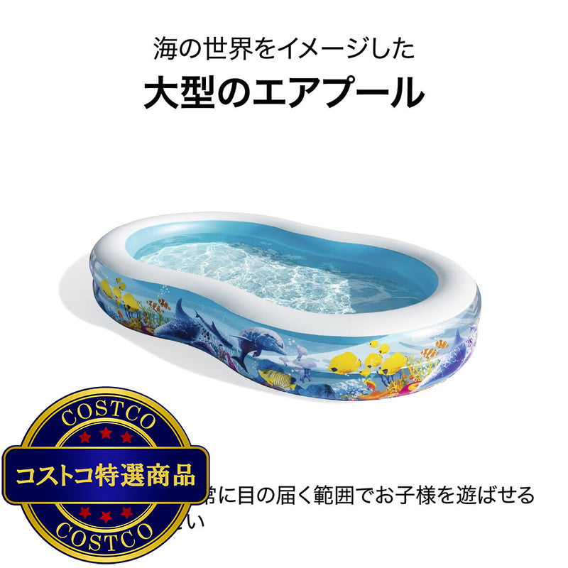(コストコ) BESTWAY 54118 フィッシュ＆フレンド ファミリー プール